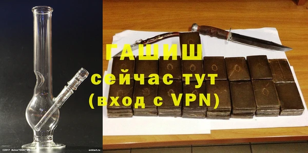 хмурый Аркадак