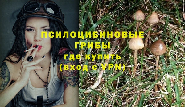 а пвп мука Балахна